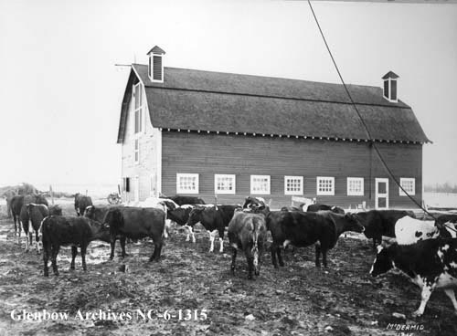Demonstration farm, 1914