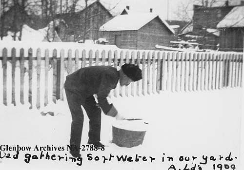 Gathering snow from backyard to make soft water. 1909