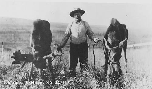 Billy Day, hotel bartender, Athabasca Landing, Alberta. 1909